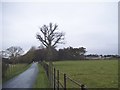 Track on the Childwick Bury Estate