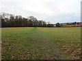 Footpath to Hoober