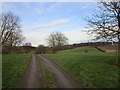 Roman Ridge and track to Hollin Hall