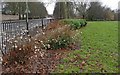 Aylestone Recreation Ground North and Knighton Lane East