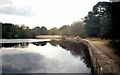 Frensham Little Pond