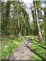 Path to Mainholm Road, Ayr