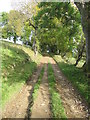 Track between Spout House and Gollinglith Foot