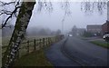 Foggy afternoon on Sycamore Road, Littlethorpe
