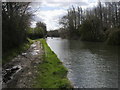 Grand Union Canal Walk