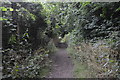 Footpath to Ardingly Reservoir