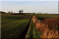 Path between Newton le Willows and Crakehall looking West