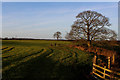 Countryside above Crakehall Beck