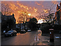 Sunset over Frognal Lane, NW3