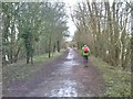 Blackpit Lane Bridge Approach