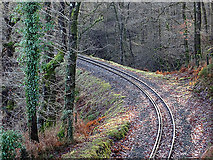 SN7377 : Vale of Rheidol Railway towards Devils' Bridge by John Lucas