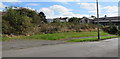 Waste ground behind Mountain Road, Pentyrch