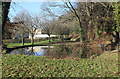 Reflections in pond, Pontypool Park