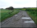 Footpath And Farmers Track