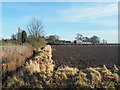 Ditch and field west of Crow Tree Farm