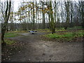 Exercise equipment in Stony Flat Plantation [2]