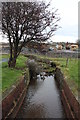 The Doune Burn, Girvan