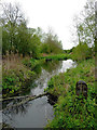 The Hatherton Canal near Calf Heath in Staffordshire