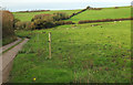 Fields by Chilcombe Lane