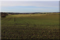 Countryside North of Newton-le-Willows