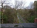 SJ9594 : Trans Pennine Trail from Dowson Road bridge by Gerald England