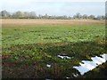 Farmland near Weatheroak Hill