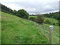 Footpath And Field Boundary