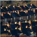 Chimneys in the sunlight