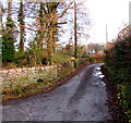 Minor road from Pencroesoped towards the canal