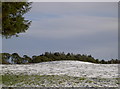 A barrow of snow