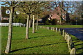 Roadside posts and trees at Durley