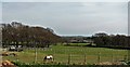 View across Low Weald from Rosebank by the A22