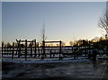 Low sun on Dundry Recreation Ground