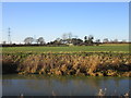 Crossfields Farm and the Pocklington Canal