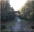 Railway Bridge near Crawley Down