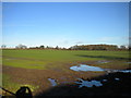 Field east of Wergs Hall Road north of Wergs Hall