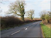 SP1157 : Trench Lane Near Alcester by Roy Hughes