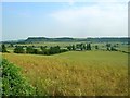 View from Barton Road, Harlington