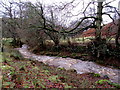 Timble Gill Beck after rain