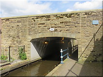 SJ9698 : Huddersfield Narrow Canal Bridge 100 by Richard Rogerson