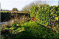 Louth Canal at Ings Farm