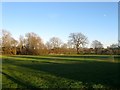 Recreation Ground, Bury Common