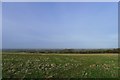 On the footpath leading north from Great Gonerby