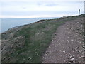 SM7523 : Pembrokeshire Coastal Path at Pen y Cyfrwy by HelenK