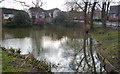 Pond in the centre of Fleckney