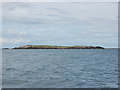 NU2235 : West Wideopen island (Farne islands) by Bill Harrison