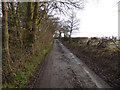 Byway to Marton Hole 