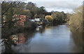 Boat houses on the Derwent