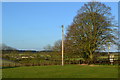 Field at Garston Farm