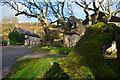 East Devon : Great Seaside Farm